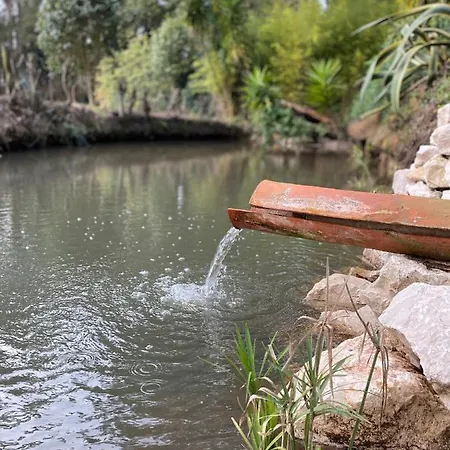 Quinta Do Vale Grande 펜션 *