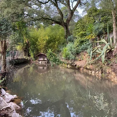 Quinta Do Vale Grande