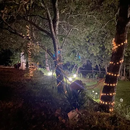 Quinta Do Vale Grande 旧阿尔贝加里亚