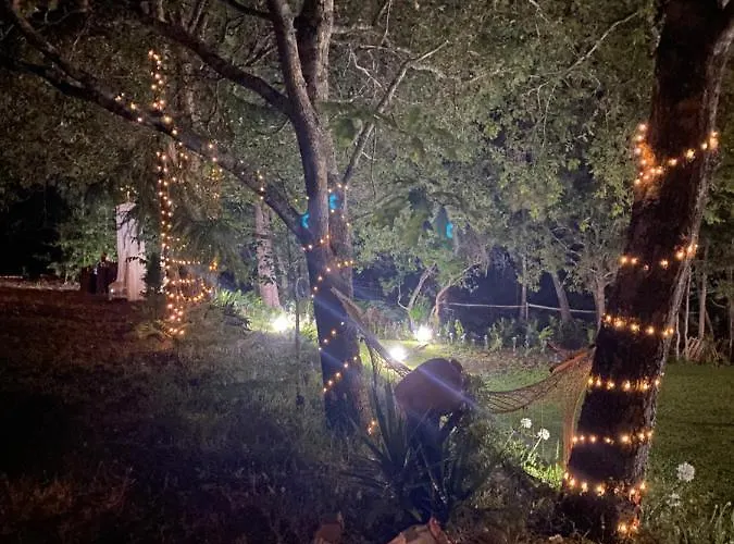 Quinta Do Vale Grande Albergaria-a-Velha